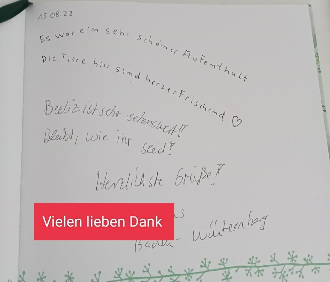 Ferienzimmer Waldzauber Borkwalde Eksteriør bilde